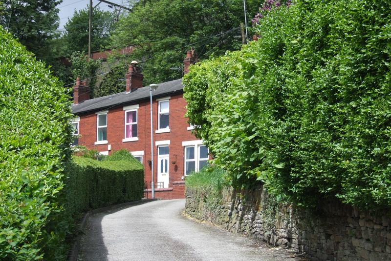 Lymefield and Broad Mills Heritage Site - Creative Tourist