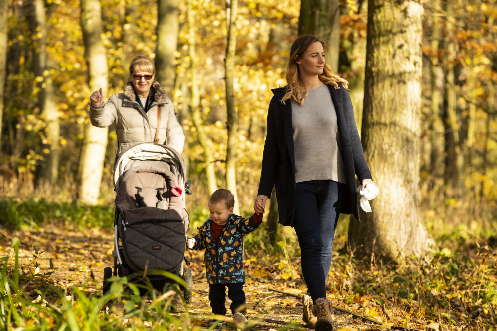 Autumn Woodlands Trail at Lyme Park - Creative Tourist