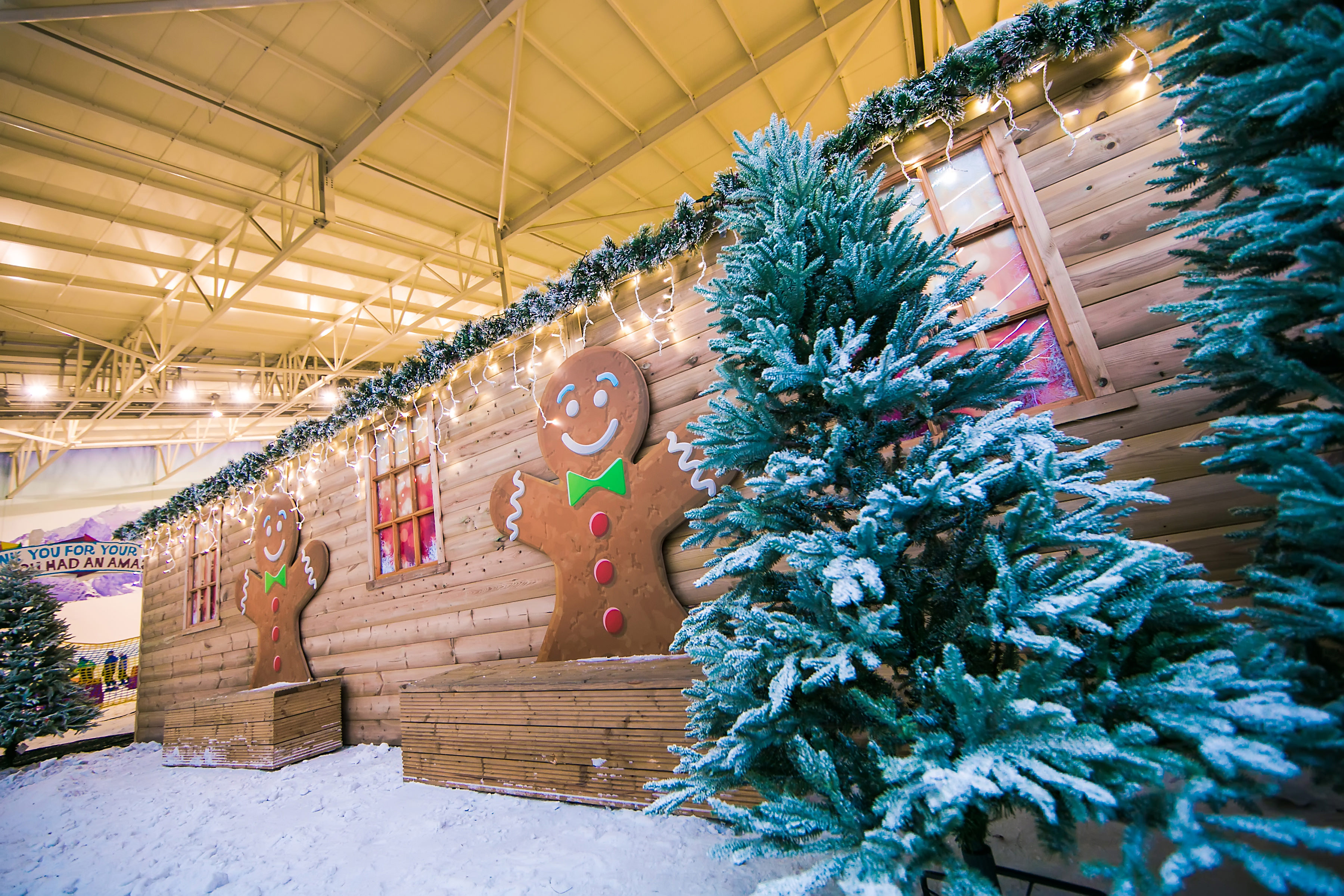 Christmas at Chill Factore Creative Tourist