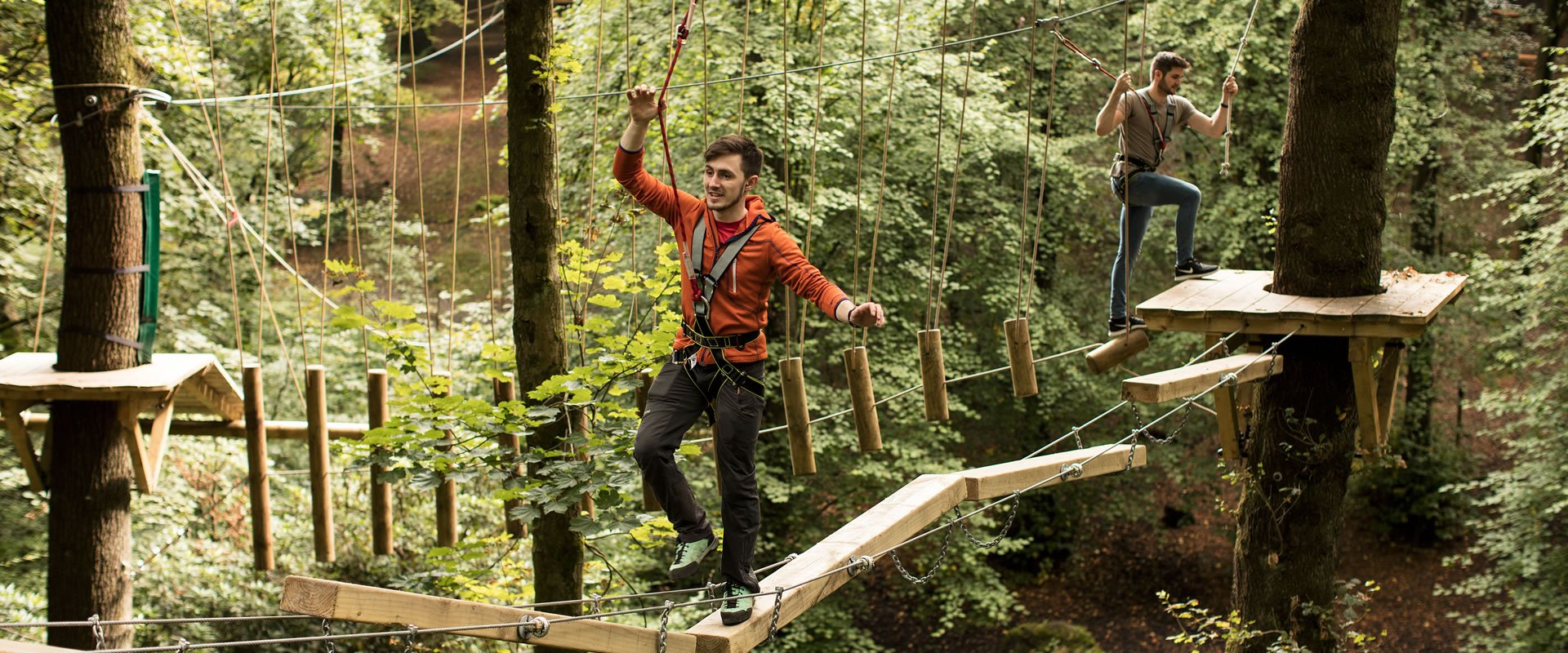 Tree Top Adventure