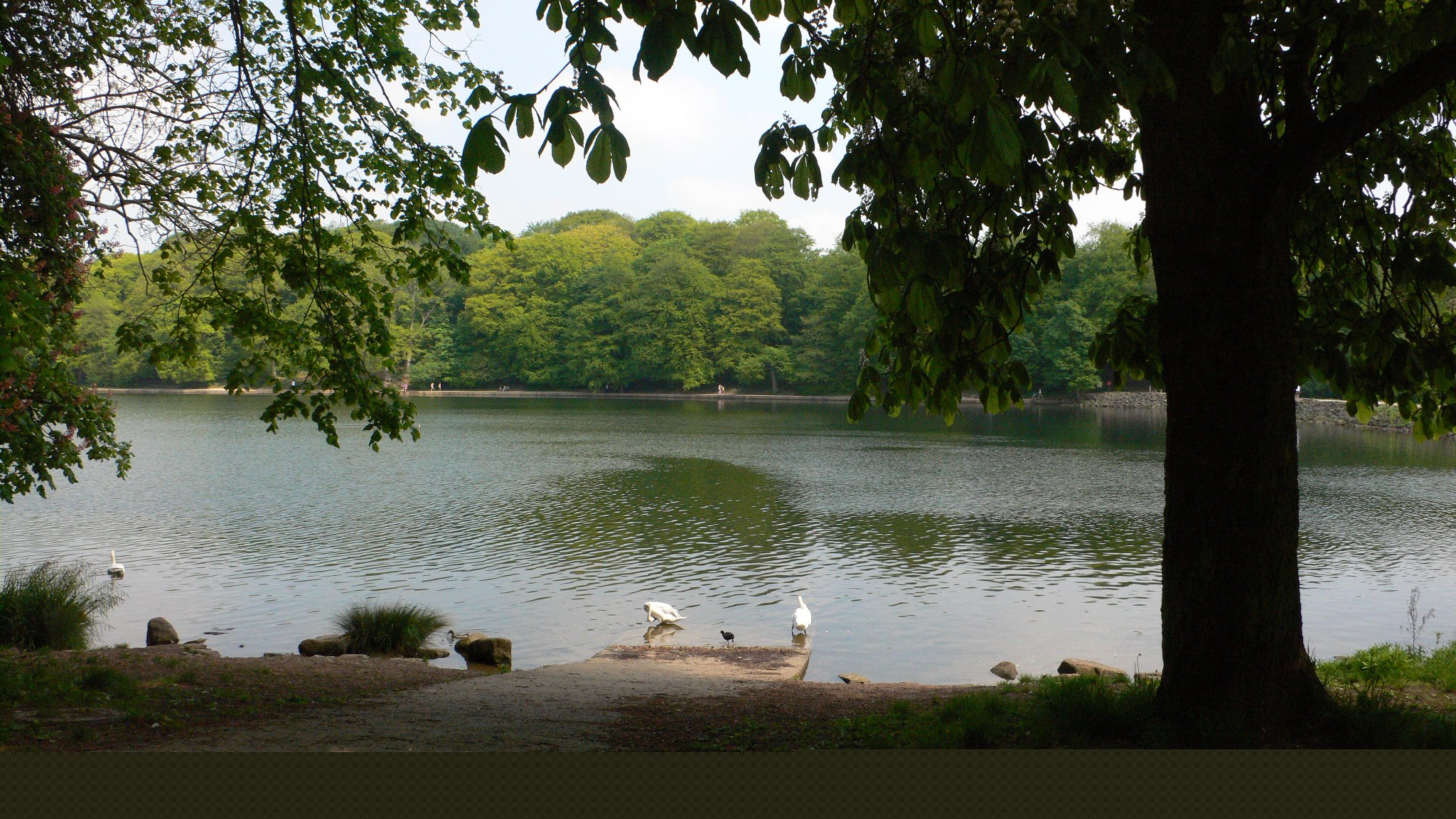 Roundhay Park - Creative Tourist