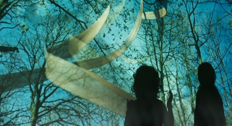 Image from 'Dovetailing', two silhouettes against a forest background
