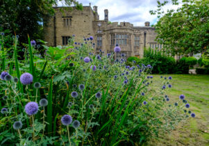 Bolling Hall Grounds