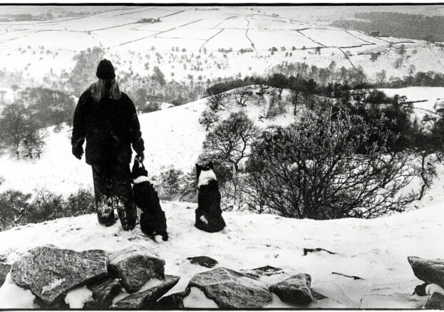 Snowy image of a walker with two border collie dogs.