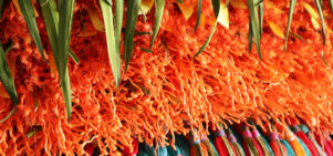 Highly textured green grasses, wiry orange threads and tassels stacked upon one another