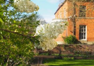 Elizabeth Gaskell's garden