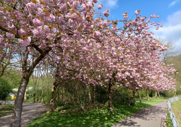 Grow and Plant Workshop at Debdale Park - Creative Tourist