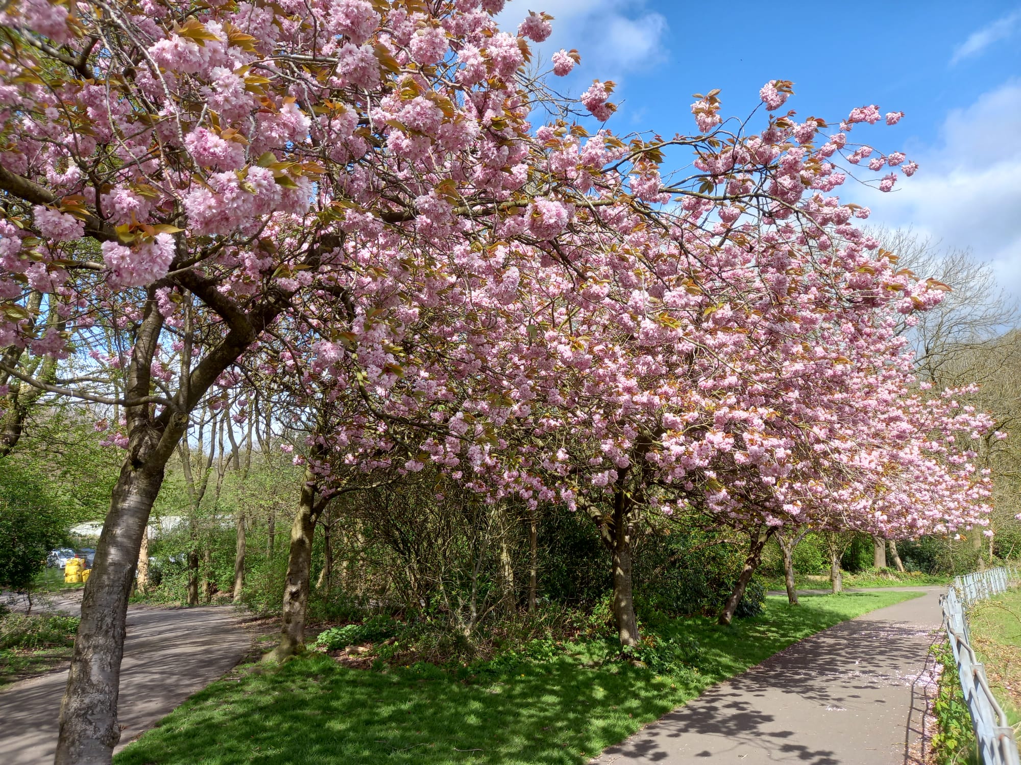 Grow and Plant Workshop at Debdale Park - Creative Tourist