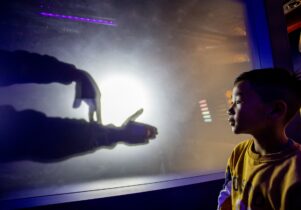 Boy watching hands making shadow puppets on a screen