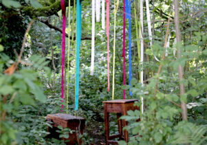 A woodland glade. In the centre is the bough of a tree draped with different coloured ribbons. There are two wooden footstools underneath the ribbons.