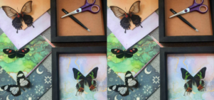 image shows pinned butterflies and pretty paper with frames