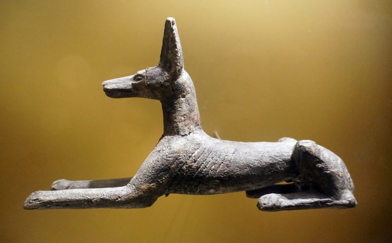 Ancient Egyptian Animals at Wakefield Museum - Creative Tourist